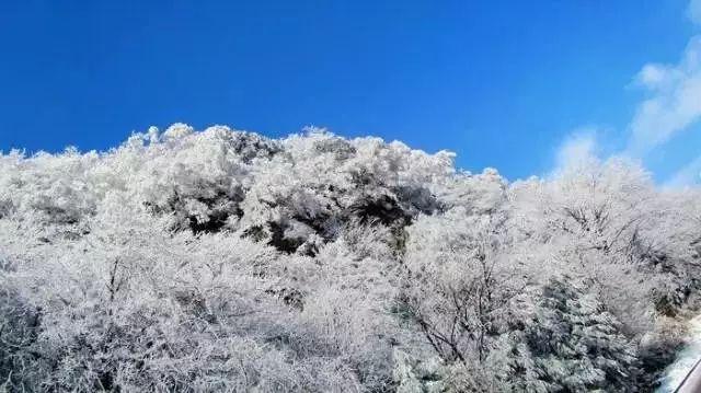 哈尔滨市两会将于2月2日至5日召开